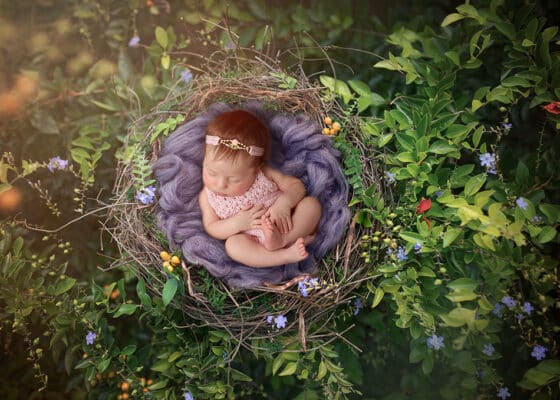 Baby Photographer Near Me - Zesty Orange Photography by Olesya Redina